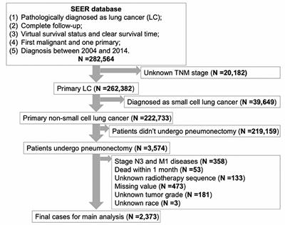 A Nomogram to Predict Long-Term Survival Outcomes of Patients Who Undergo Pneumonectomy for Non-small Cell Lung Cancer With Stage I-IIIB